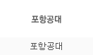 포항공대