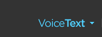 Voice Text